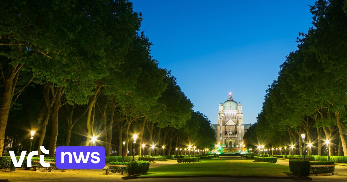Lichtvervuiling doet planten in stad weken langer groeien dan op platteland