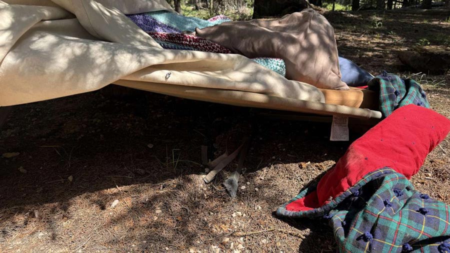 A man sleeping in a cot in Garfield County was treated Tuesday after being bitten on the arm by a black bear. State wildlife officials tracked down the bear on Wednesday and killed it.