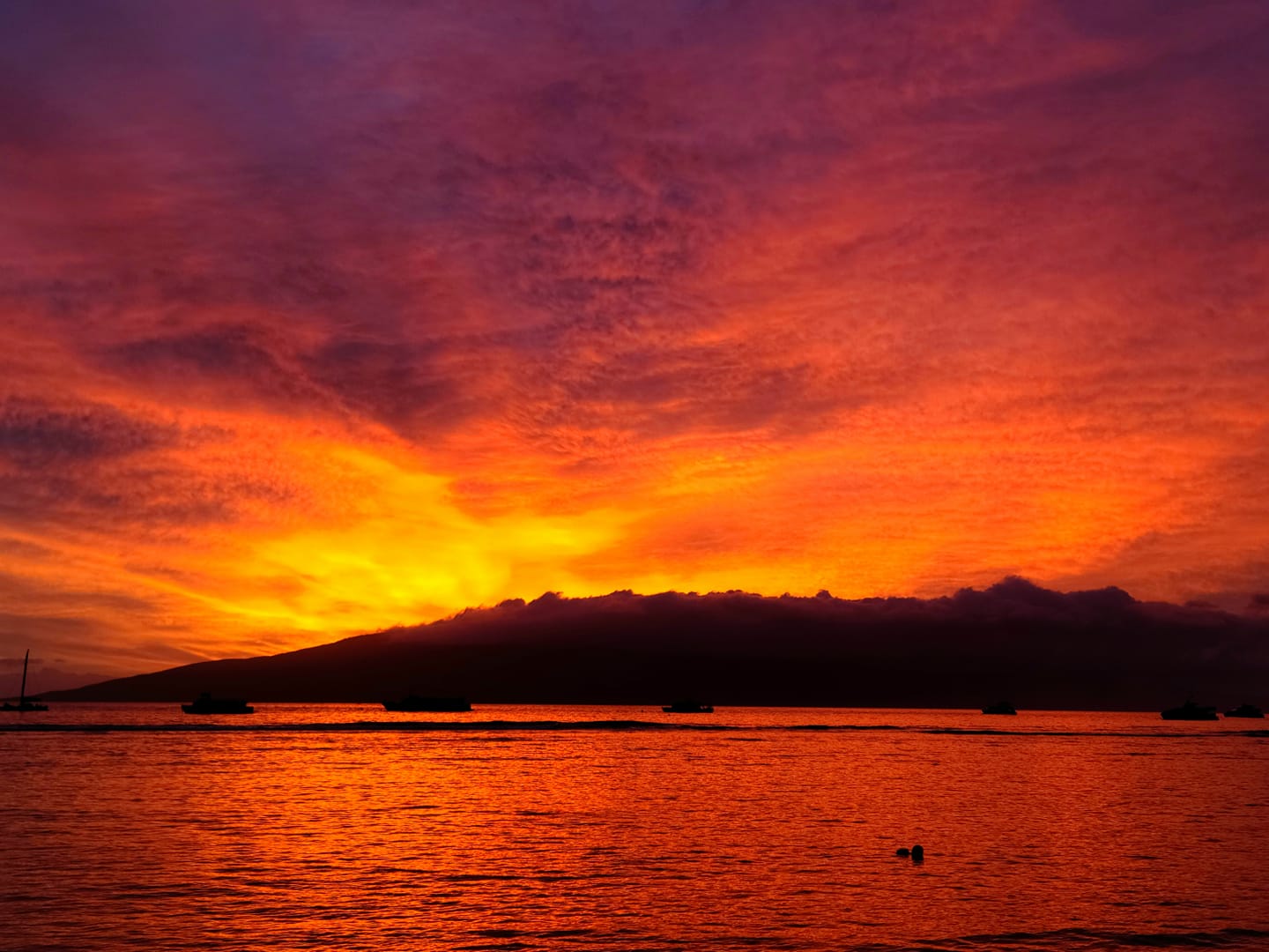 Maui Surf Forecast for June 01, 2025 : Maui Now