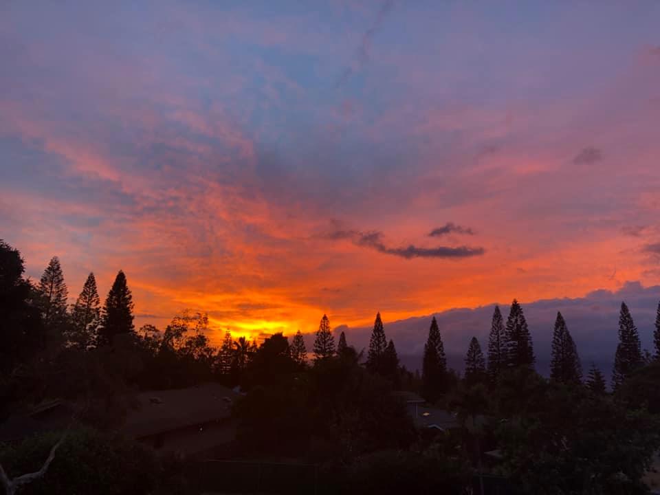 Maui Surf Forecast for June 17, 2025 : Maui Now