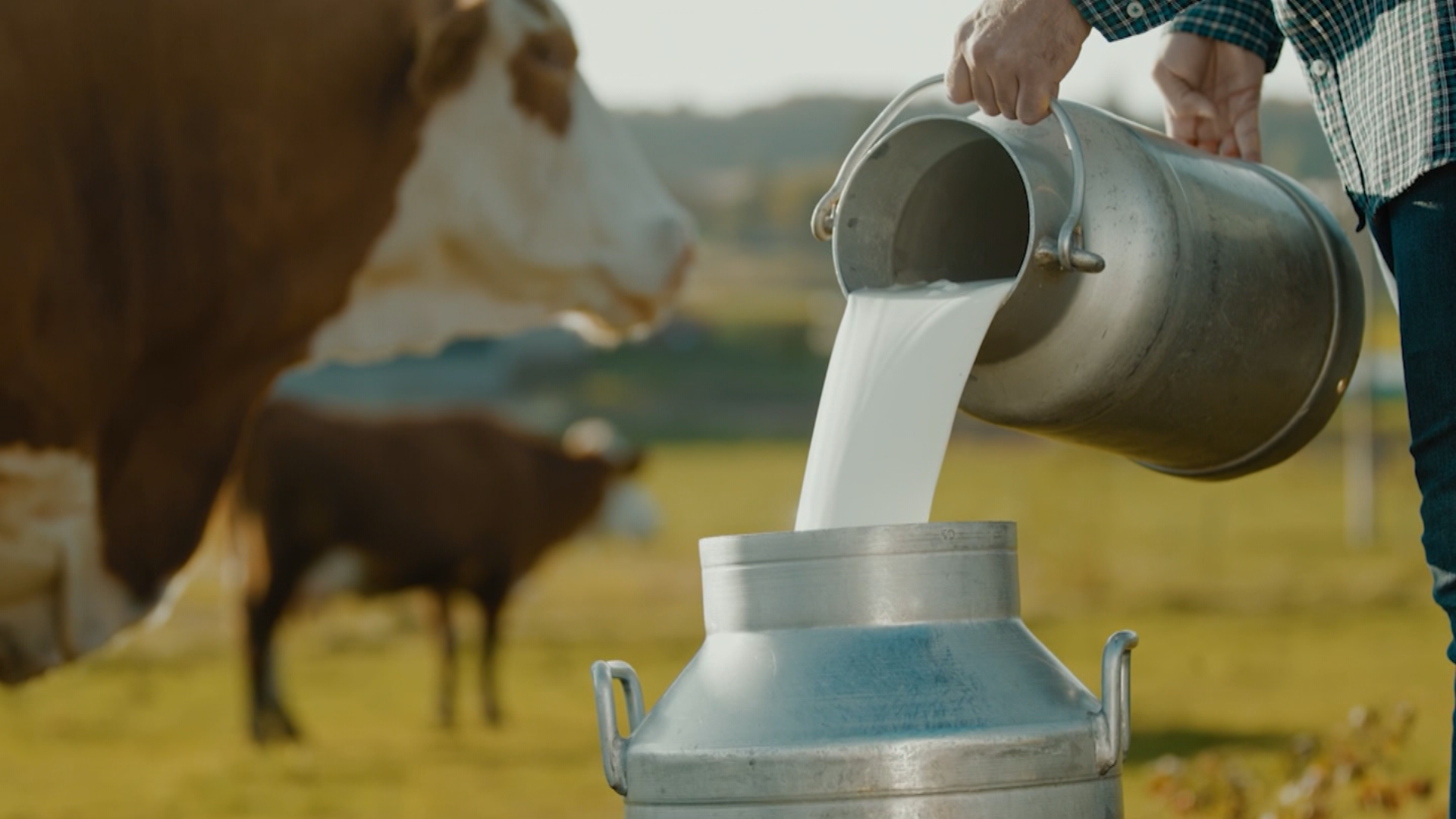 Misunderstood foods: The truth behind viral health claims - Indianapolis News | Indiana Weather | Indiana Traffic