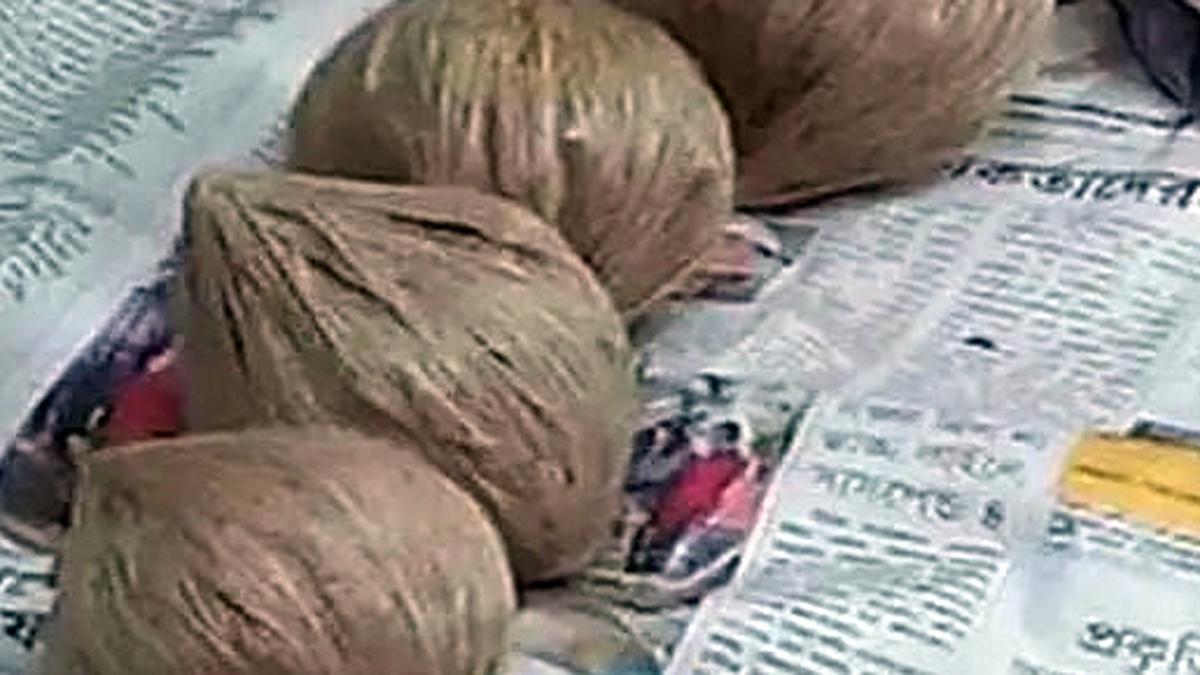 Nine country-made bombs recovered in West Bengal's Purba Bardhaman