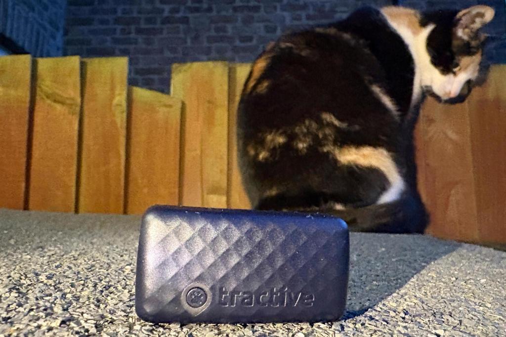 No more lost cats and dogs. Use tech to track your pet