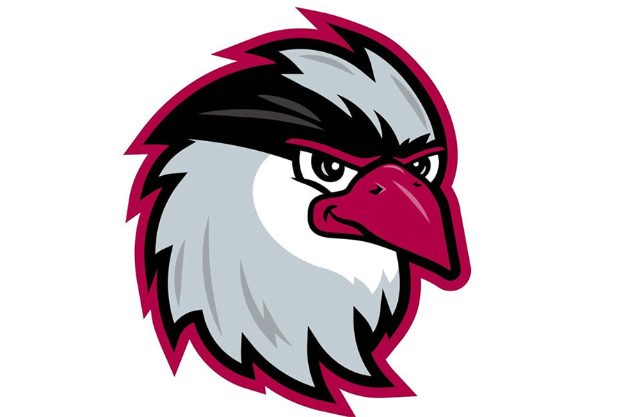 Idaho Falls Chukars