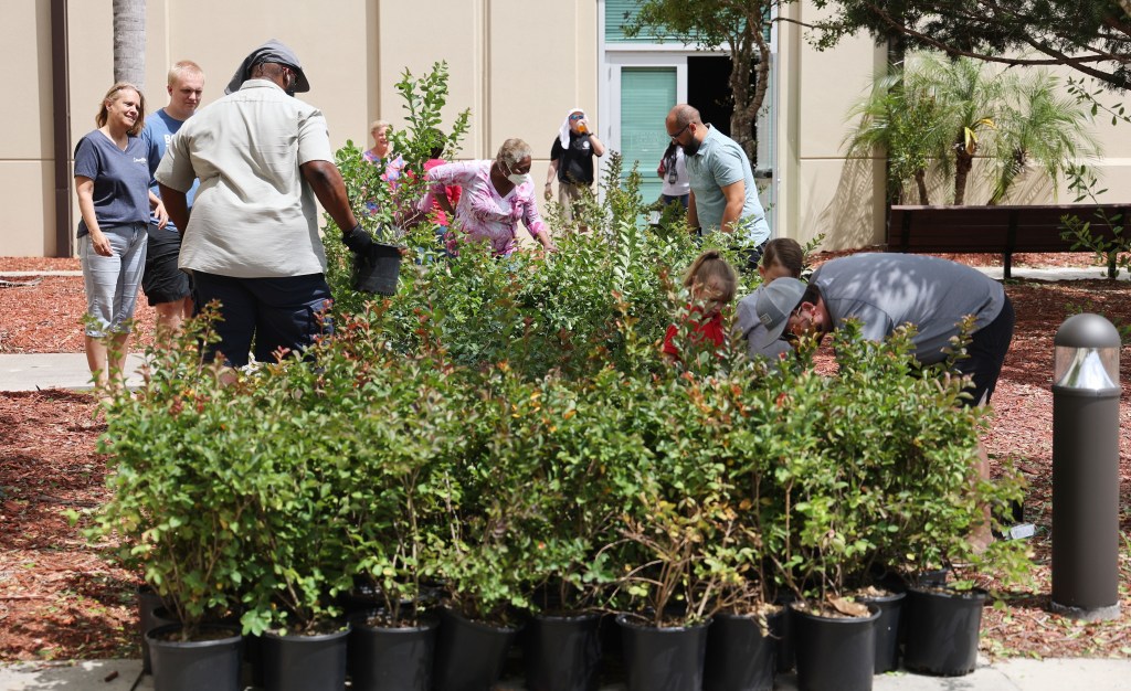 Orange County things to do, starting June 6