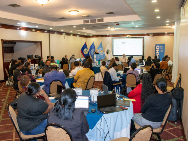 PAHO/WHO Belize and the Ministry of Health and Wellness Advances Diagnostic Coding for Health through ICD-11 Capacity Building