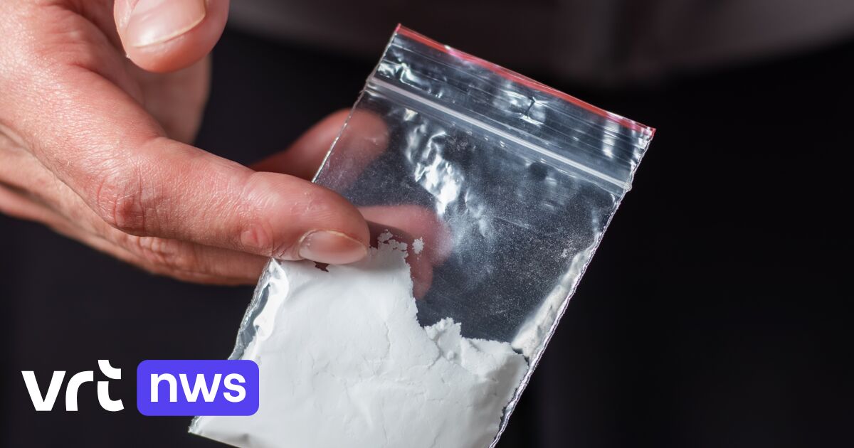 Politie pakt vrouw op die drugs afleverde in villawijk in Kapellen