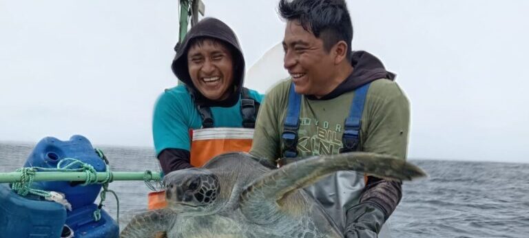 Fishermen releasing a sea turtle.