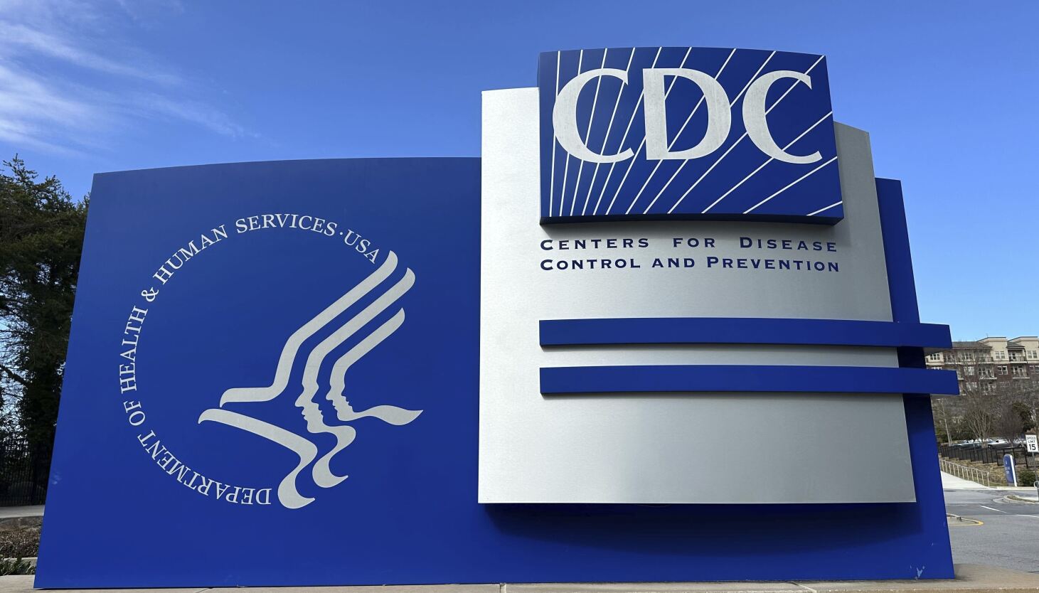 Salmonella outbreak tied to eggs sickens dozens across 7 states