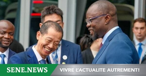 Senegal and Alibaba, the benefits of a partnership with the Chinese e-commerce giant