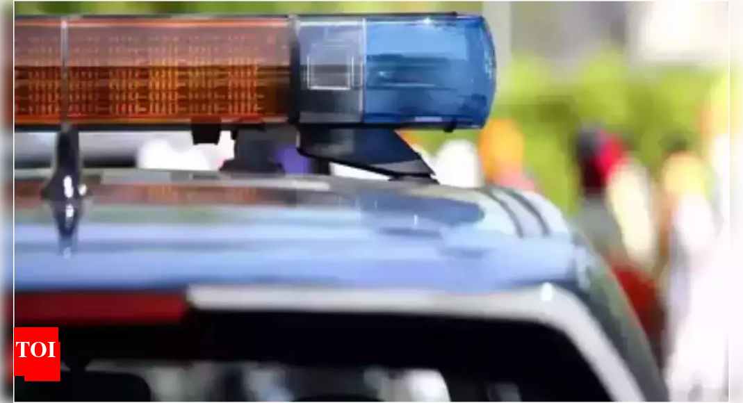 Suspecting affair, Bengaluru man beheads wife after quarrel; surrenders to cops with severed head | India News