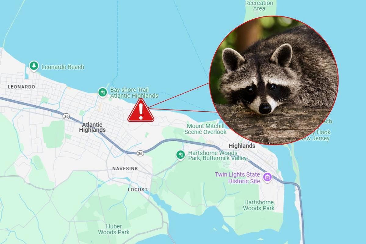 Understanding The Risks Of Sick Wildlife On NJ Trails