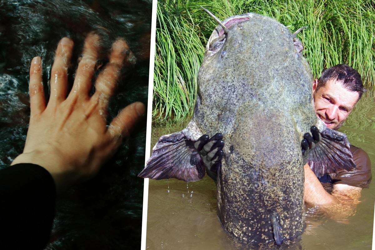 What Is Noodling And How Do You Catch Catfish By Hand?