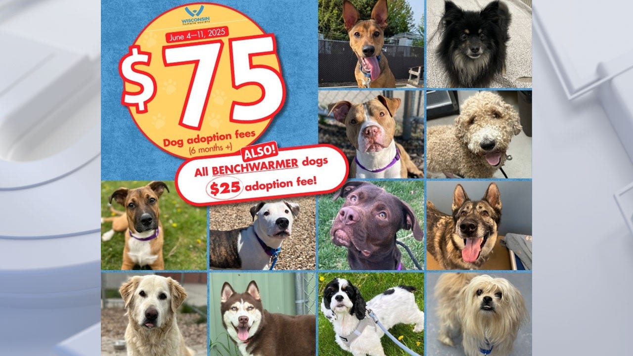 Wisconsin Humane Society reduces dog adoption fees; capacity at 'crisis level'