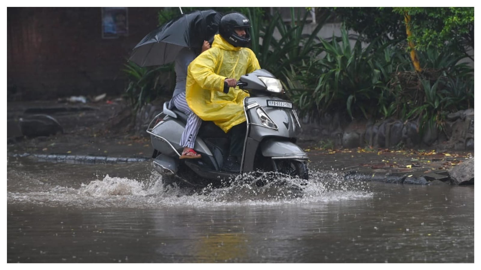 Isolated heavy rainfall is likely over Goa, Maharashtra, and Gujarat.