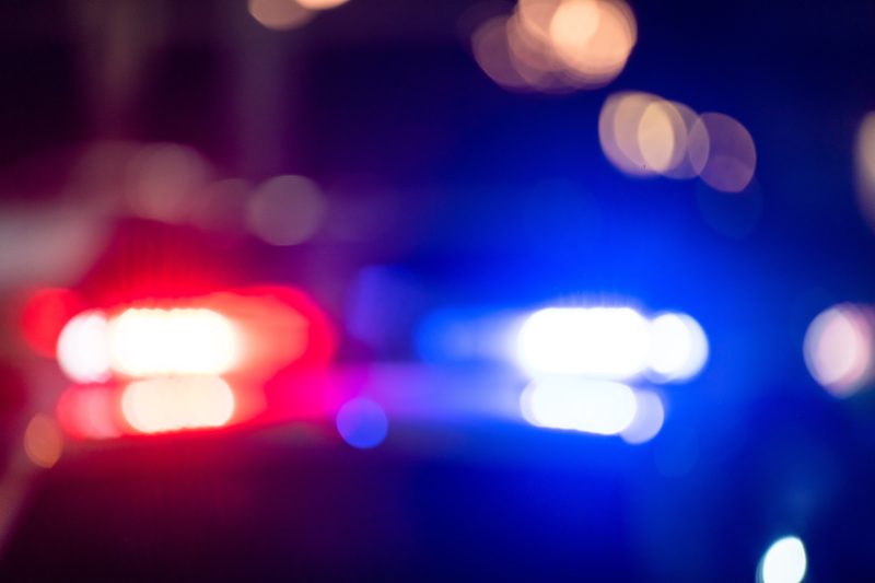 "No Kings" protests in Minnesota canceled as authorities search for suspect who shot 2 lawmakers.