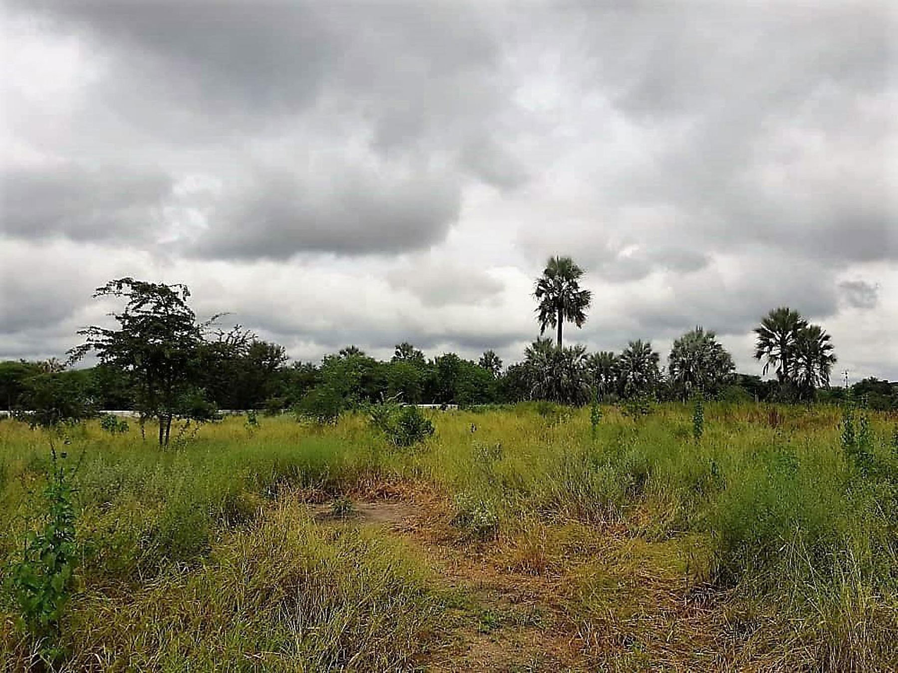 2022 census lays bare land ownership inequities across Botswana