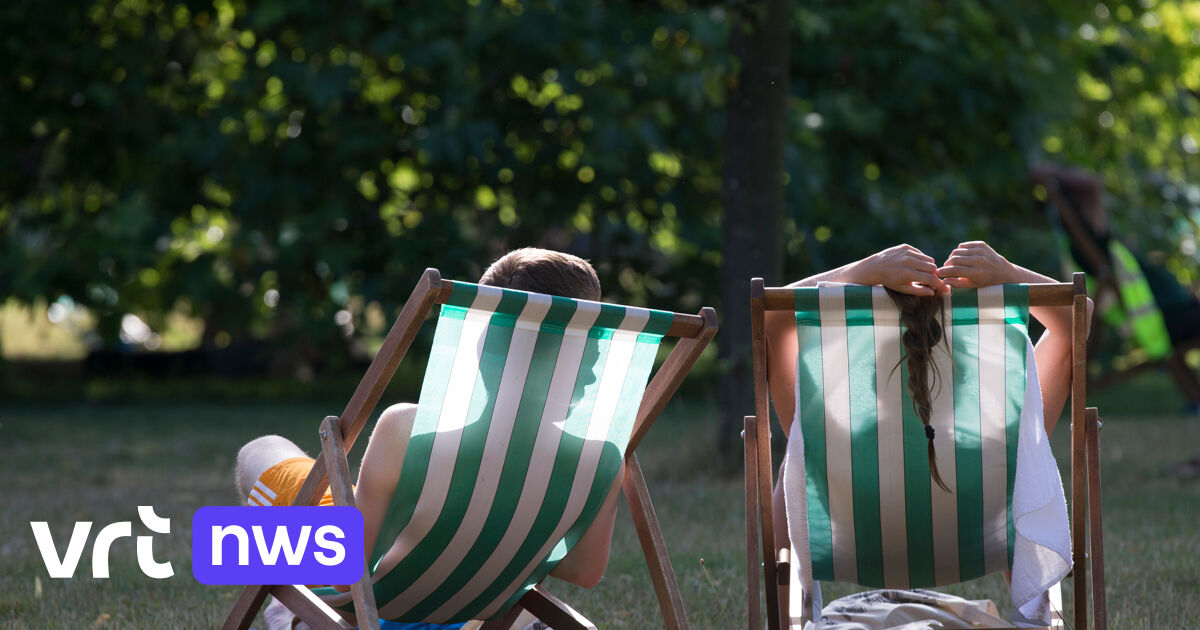 Belgen maken recordaantal van 23,7 miljoen reizen in 2024