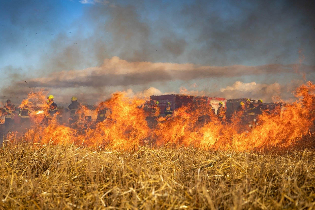 Commission established to assess and address damage caused by fires in Serbia – Serbian MonitorSerbian Monitor