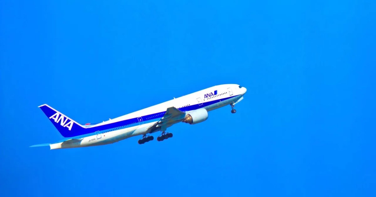 Japanese airlines offer discounted fares to international tourists