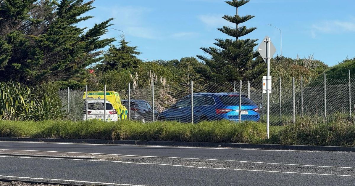 Pipe bombs found next to man's body beside Auckland motorway