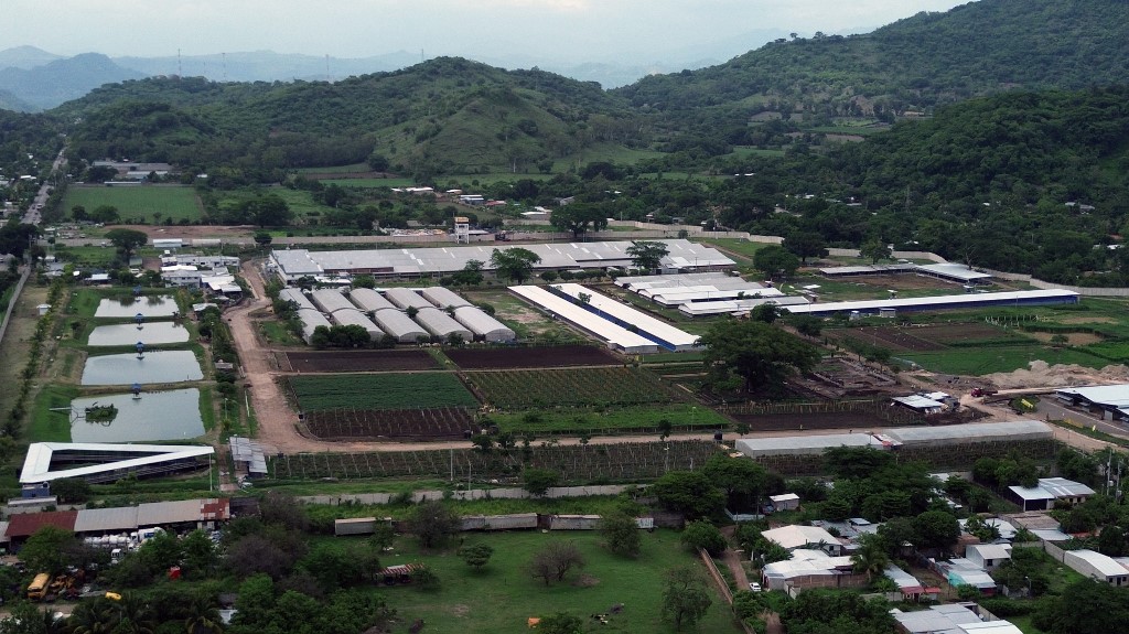 Salvadoran Lawyers Fight for Rights of Trump-Deported Migrants in Secretive Prison