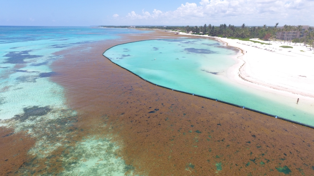 The Environment Department issues an emergency plan for collecting sargassum from beaches in the Dominican Republic.