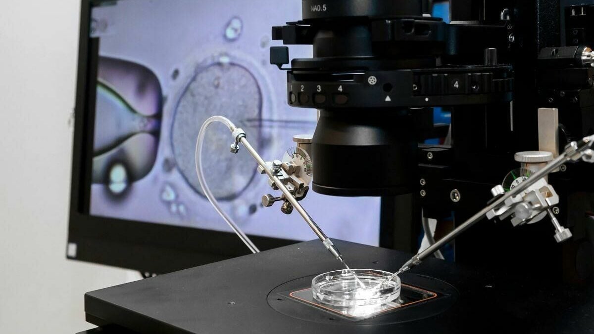 Photo of Cita Catellya