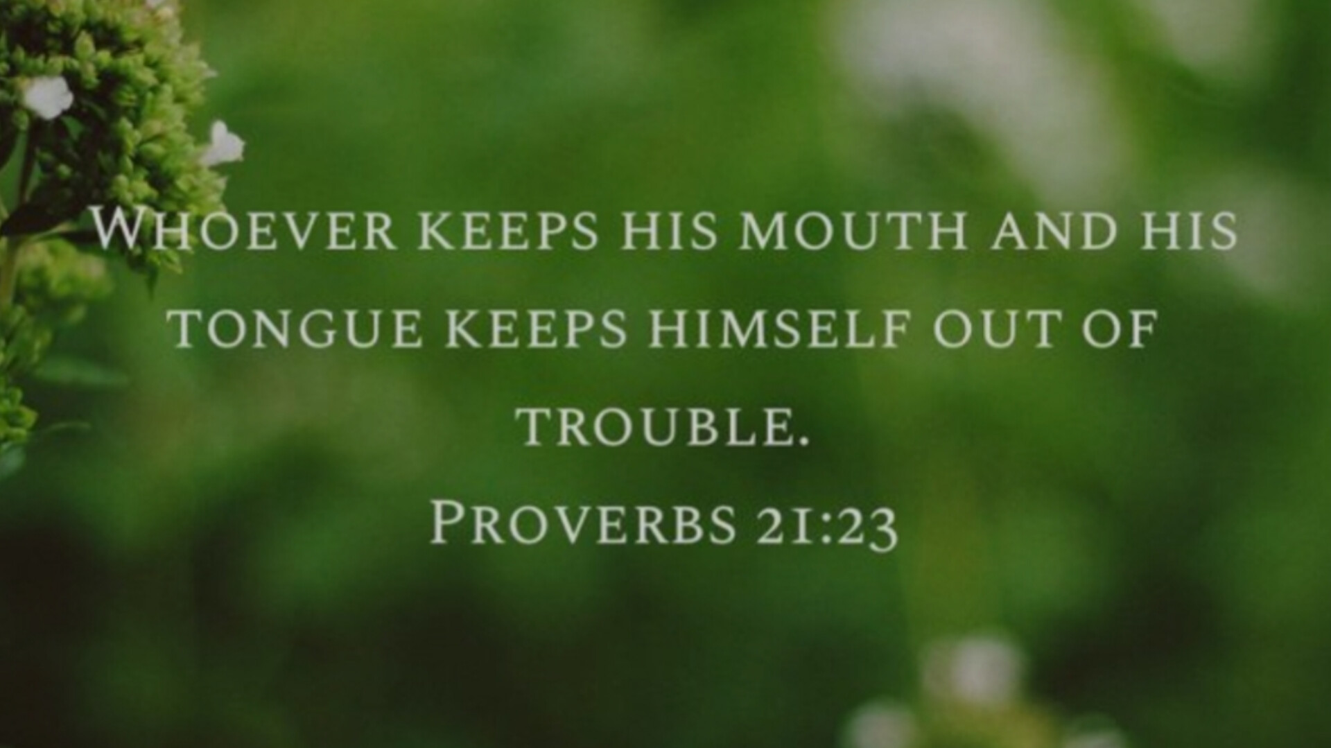 Wisdom is often revealed in what we choose NOT to say