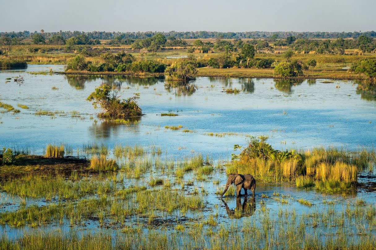 Brink’s company, rural communities fight over Okavango Delta