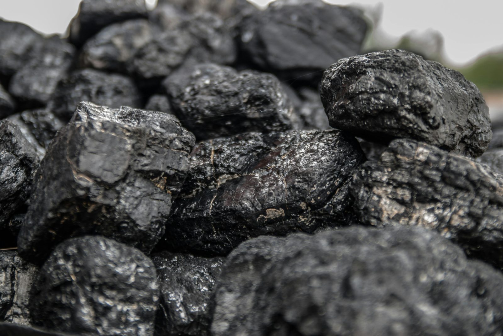 Coal-Dependent Households Must Prepare for Change, Expert Warns