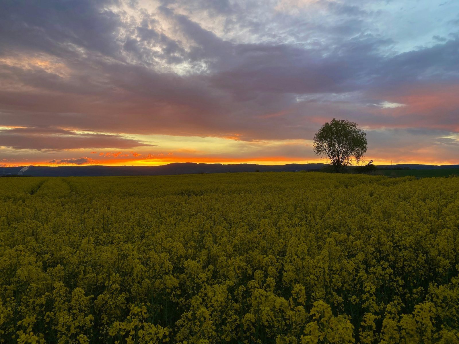 Despite Fluctuations, Summer in the Czech Republic Averaged Normal