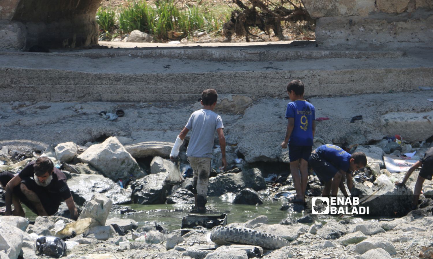 Children collect dead fish caused by drought in the Orontes River in Jisr al-Shughur, western Idlib countryside – August 5, 2025 (Enab Baladi/Mohammad Mosto)