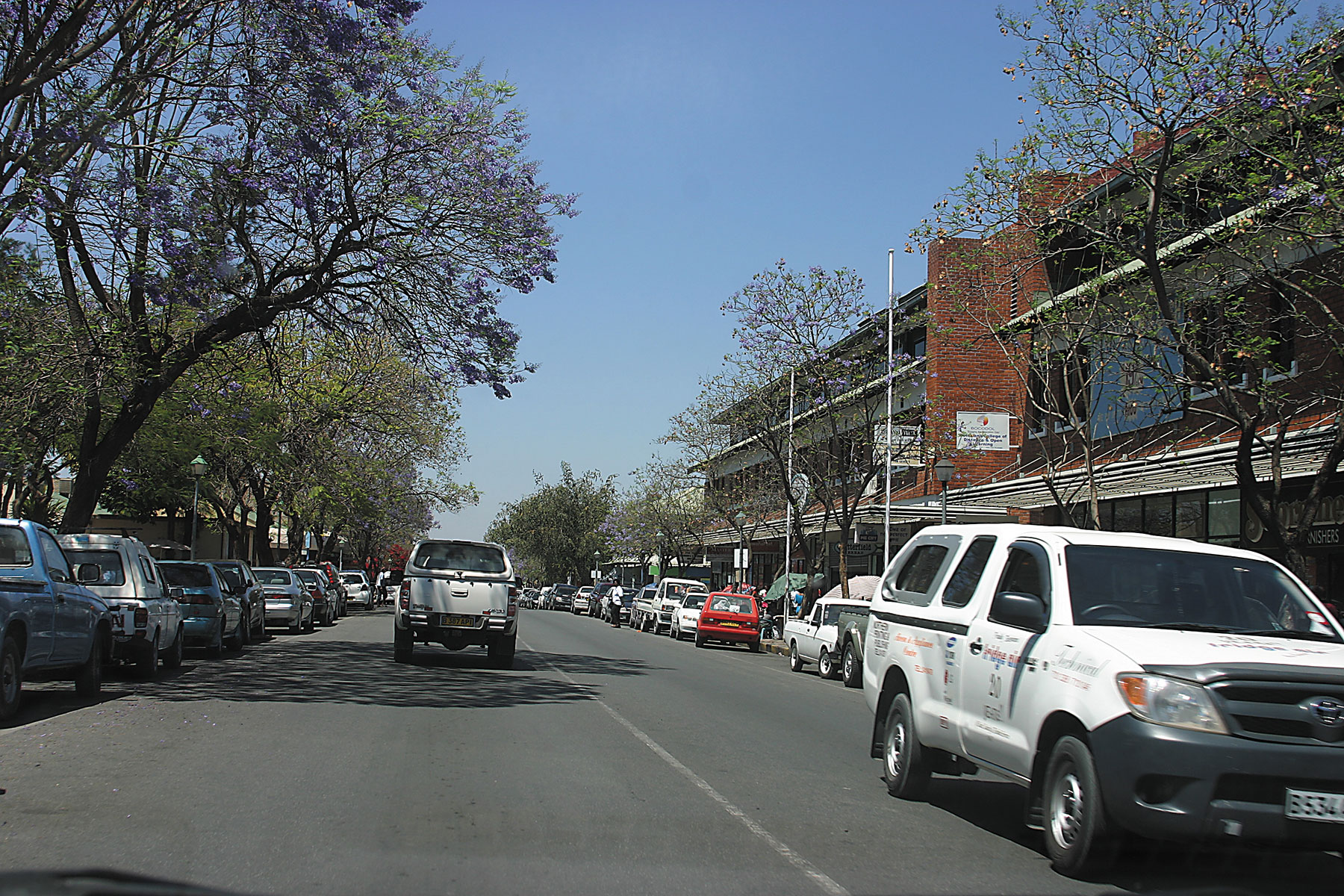 Francistown Consumer Cooperative Society struggles