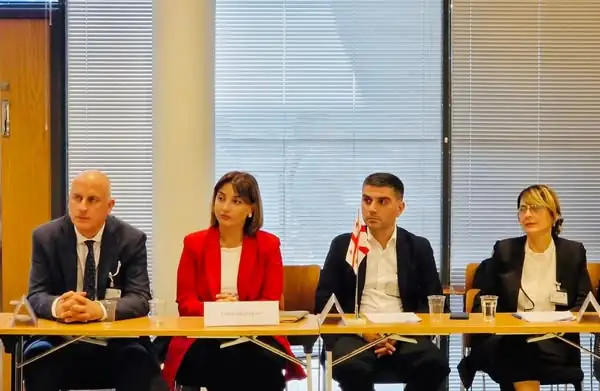 Georgia participates in Early Warning Systems meeting in Helsinki