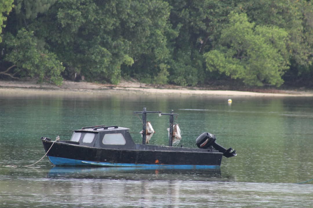 Government Collects Over VT200,000 in Fishing License Fees in Torba Province