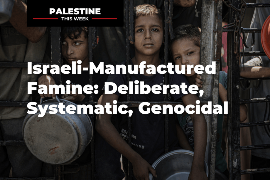 Israeli-Manufactured Famine: Deliberate, Systematic, Genocidal