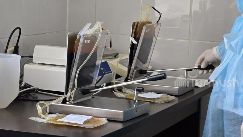 Nine people test positive for brucellosis, hepatitis and syphilis after donating blood in Naryn region in half a year