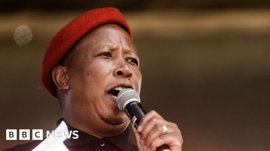South Africa's EFF leader Julius Malema found guilty of hate speech