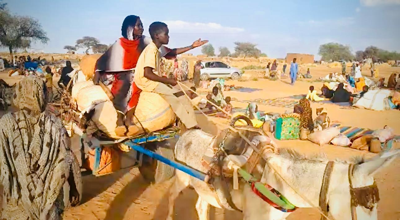 Sudan war is stealing the right of women and mothers to life