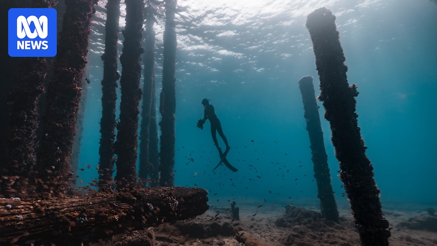 TV crew discovers two missing shipwrecks off West Australian coast