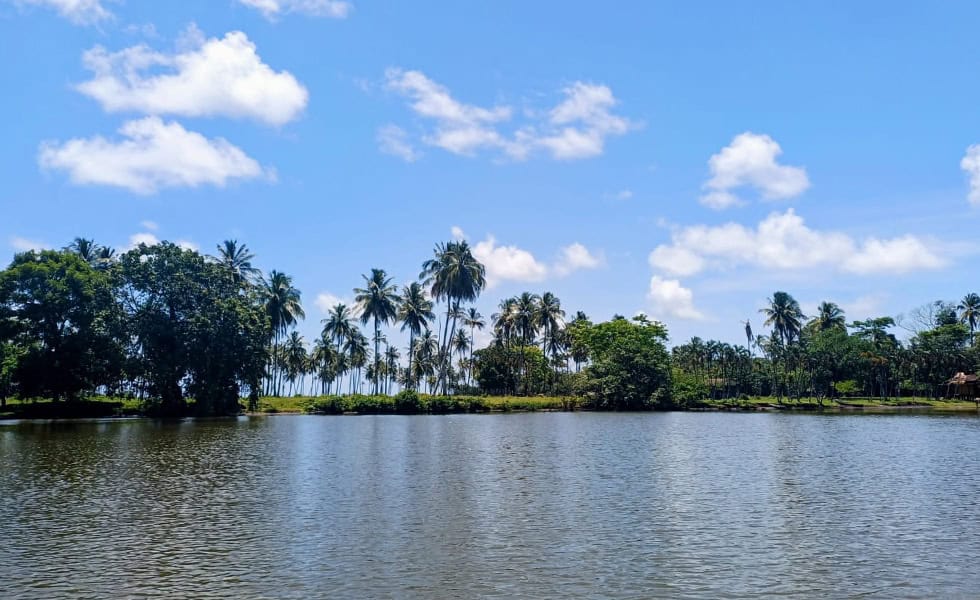 The Perfect Place to Disconnect and Recharge