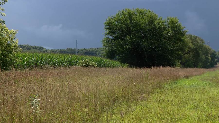 The energy project sparking debate in Comstock Township