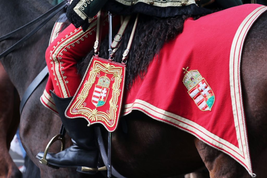 Hungary Hungarian hussar 2