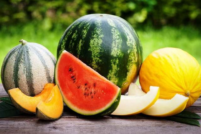 Uzbekistan Sees 8.3% Growth in Melon and Watermelon Production