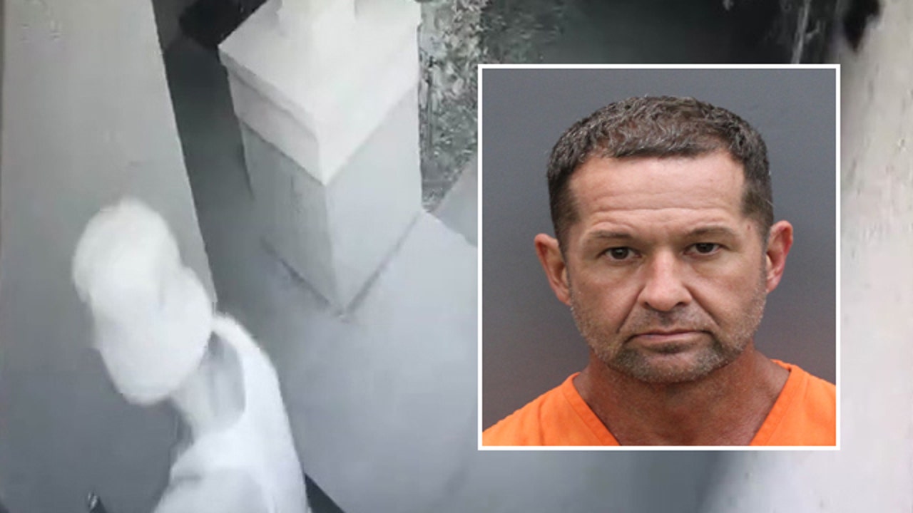 Video: Drone carrying drugs crashes into Lutz home, suspect arrested ...
