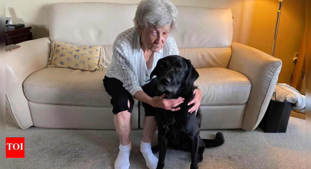 Woman blind for a decade undergoes rare 'tooth in the eye' surgery and regains vision