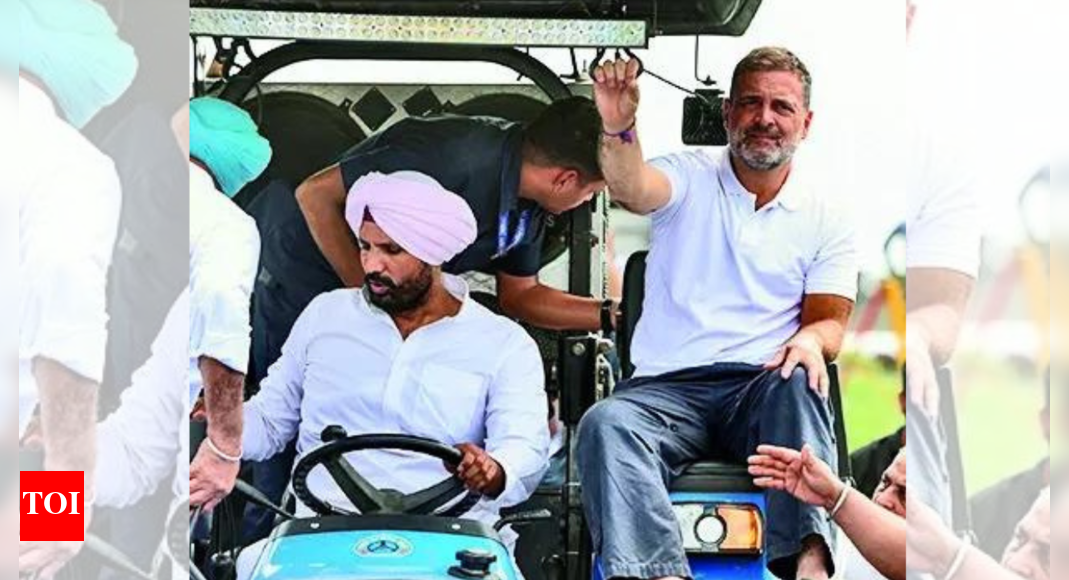 6 days after PM's tour, Rahul visits flood-hit Punjab | India News