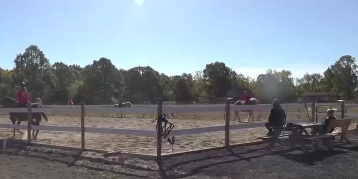 Addison County ranch hosting themed trail rides to fund dream of covered arena