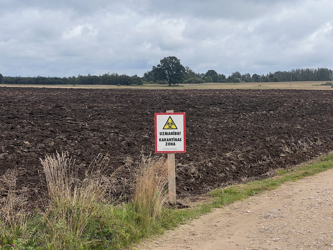 African Swine Fever risk in Latvia particularly high / Article